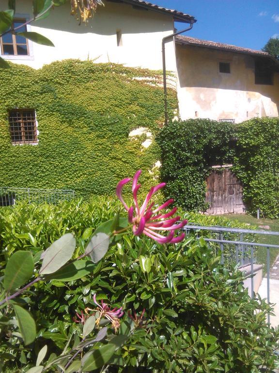 Relais Palazzo Lodron Rovereto (Trentino Alto Adige) Exterior foto